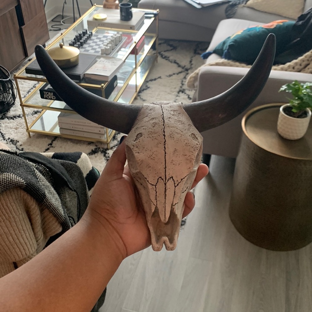 Rare Bullhead decor. (NOT FROM A REAL ANIMAL)